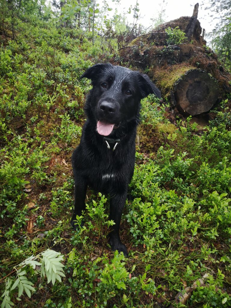 Img_20250609_185652_1